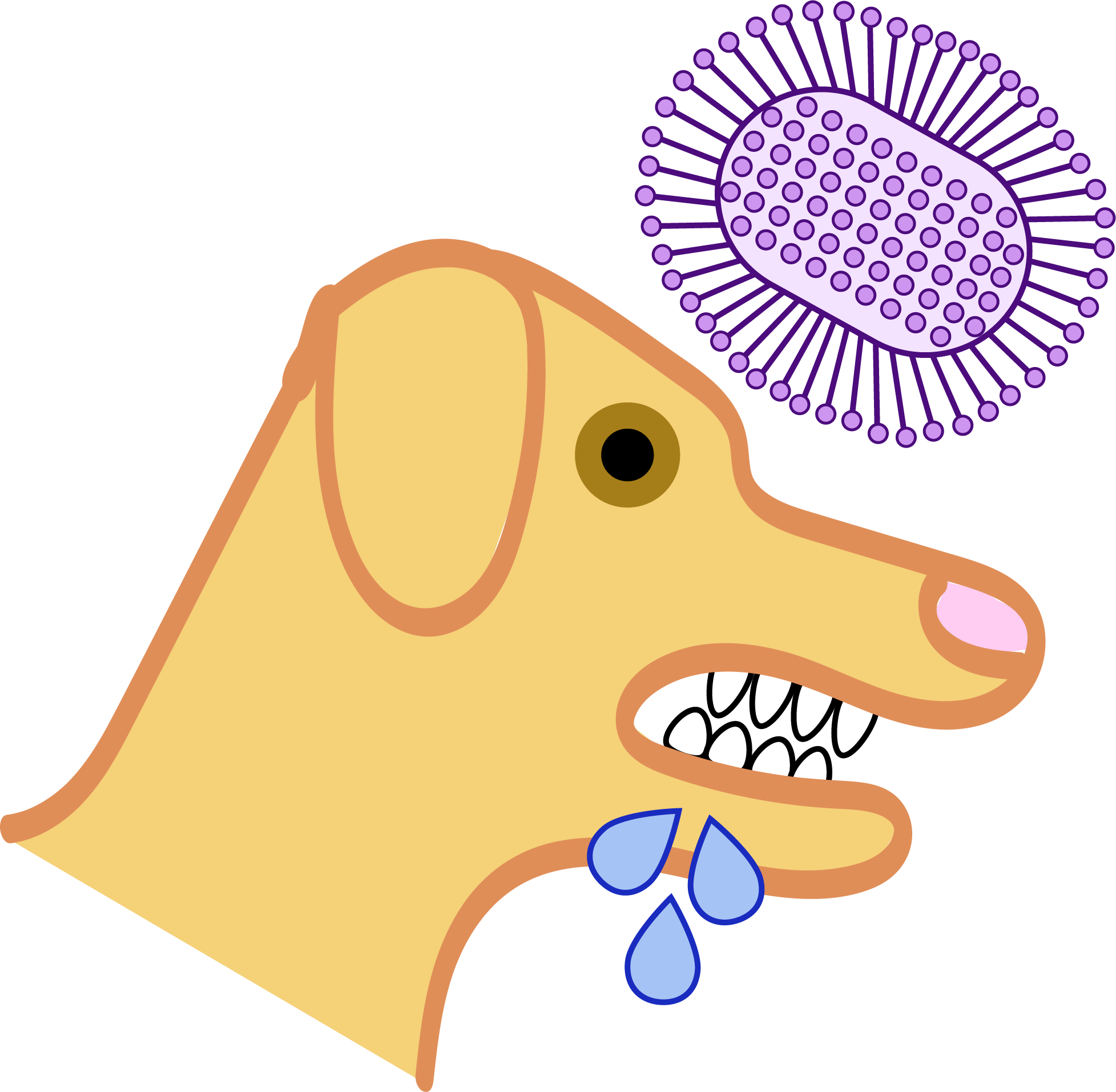 symbol of a dog, foaming and drooling, with a rabies virus next to it.
